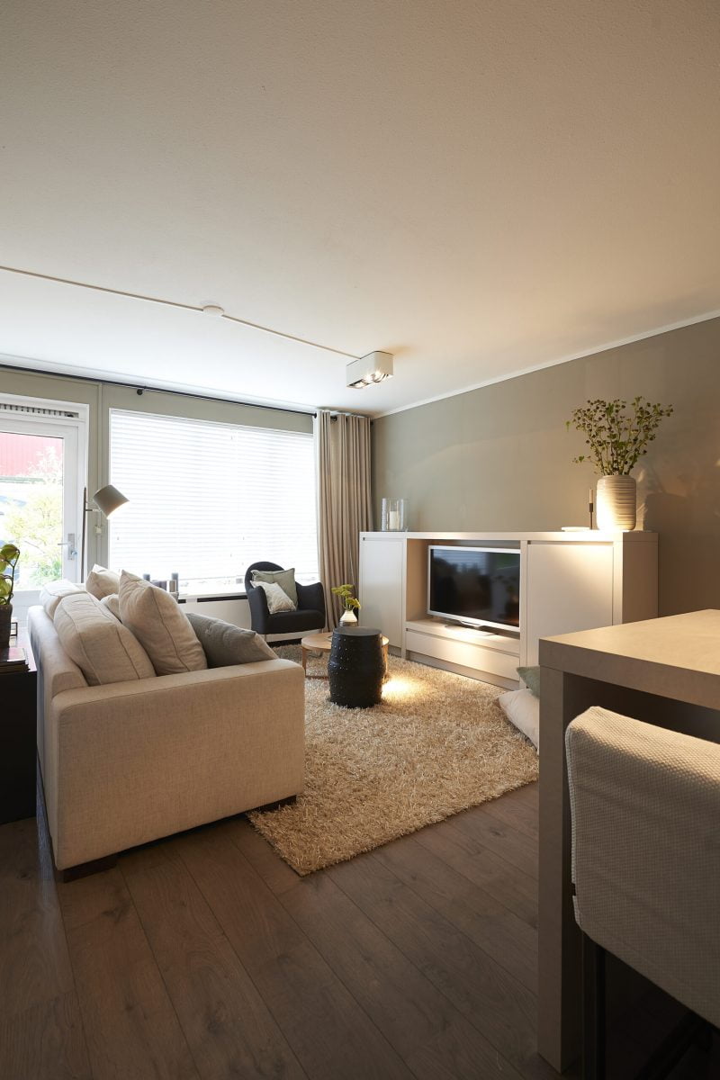 3 cm breed 3 cm breed