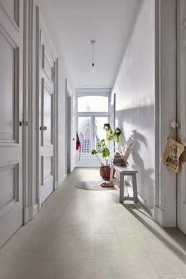 36m²