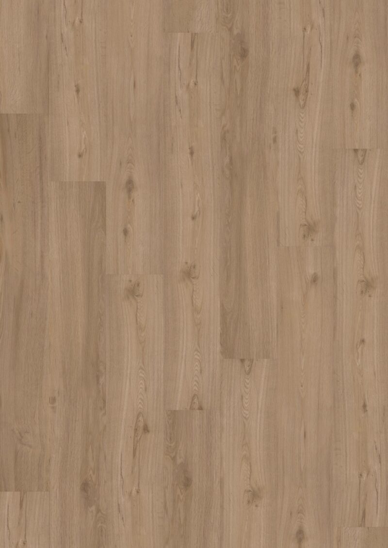 LVT Design 555 DB 5509 Spring Oak 184x1219x2